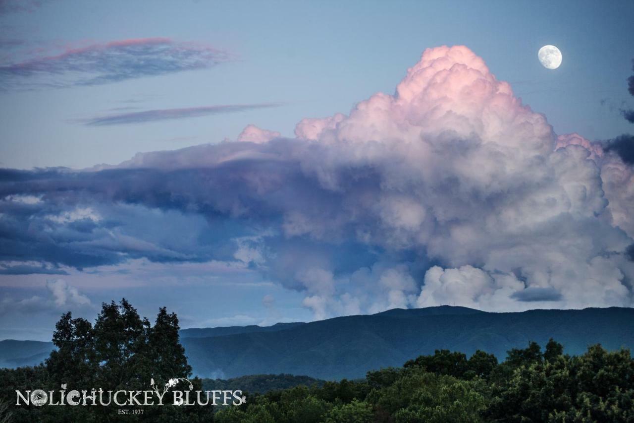 Nolichuckey Bluffs Bed&Breakfast Cabins Greeneville Exterior foto